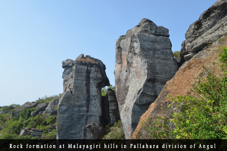 Odisha Biodiversity Boad