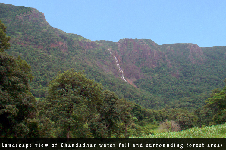 Odisha Biodiversity Boad