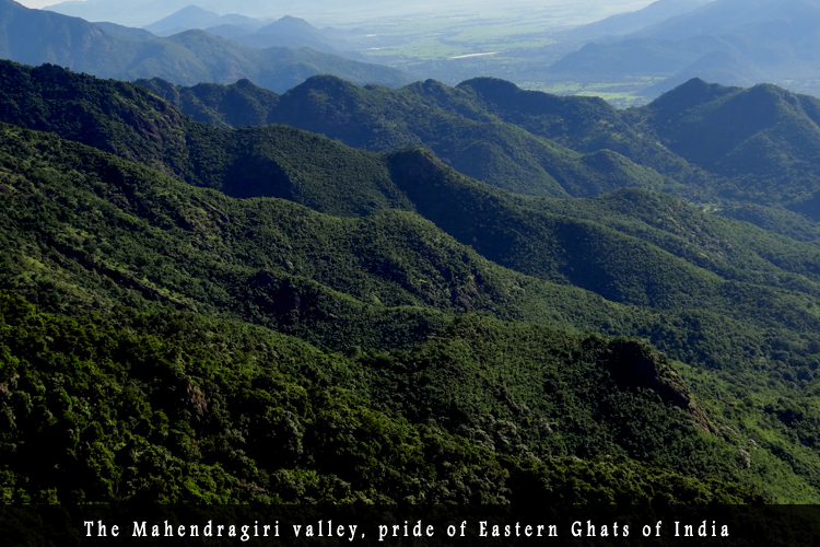 Odisha Biodiversity Boad