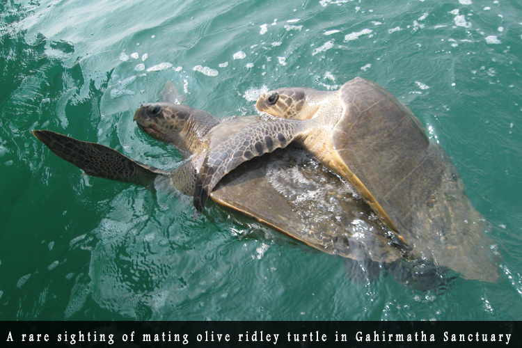 Odisha Biodiversity Boad