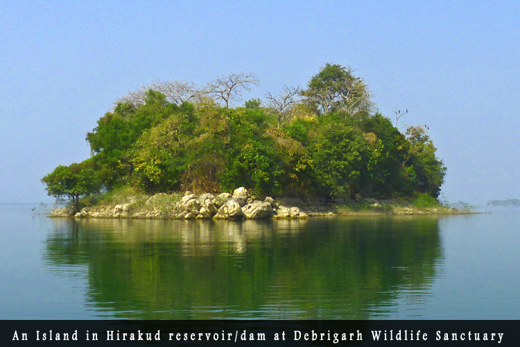 Odisha Biodiversity Boad