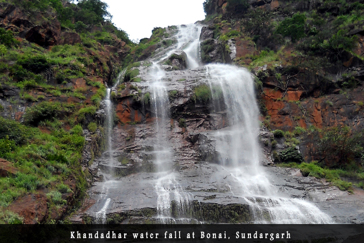 Odisha Biodiversity Boad